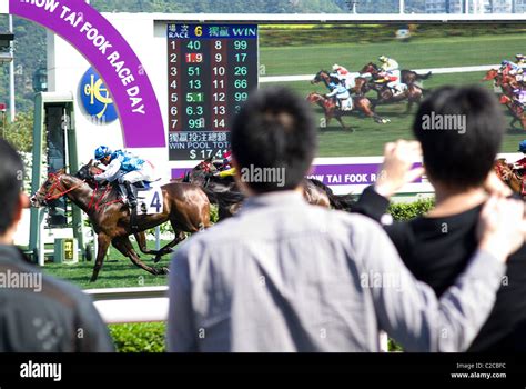 六合彩十二生肖表|The Hong Kong Jockey Club